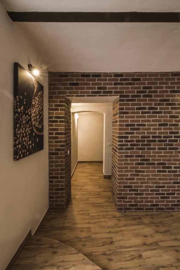 מלון Făgăraş Elegant House מראה חיצוני תמונה